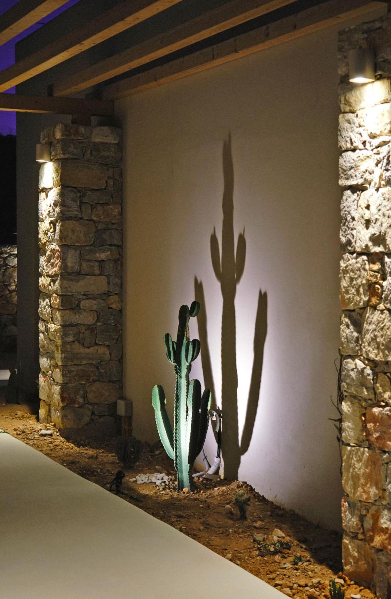 Agave Donousa Suites Exteriér fotografie