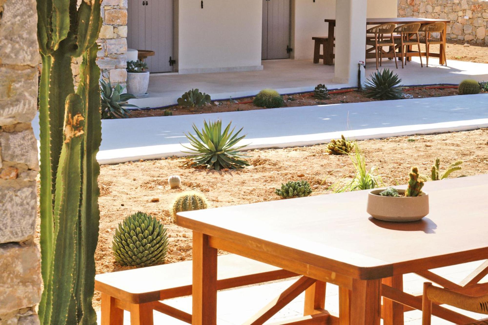 Agave Donousa Suites Exteriér fotografie